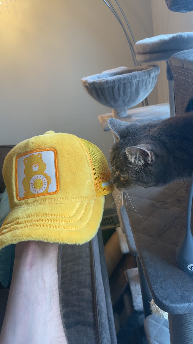 Customer photo review of OVERLORD X Care Bears:  Funshine Bear Trucker Cap