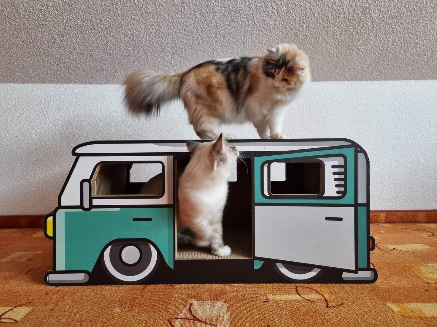 Customer photo review of KratzCamper XXL