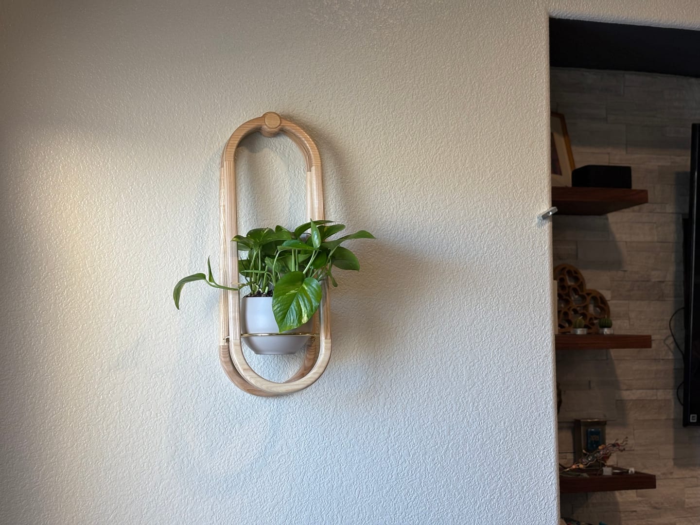 Customer photo review of Frame Wall Planter + Pot