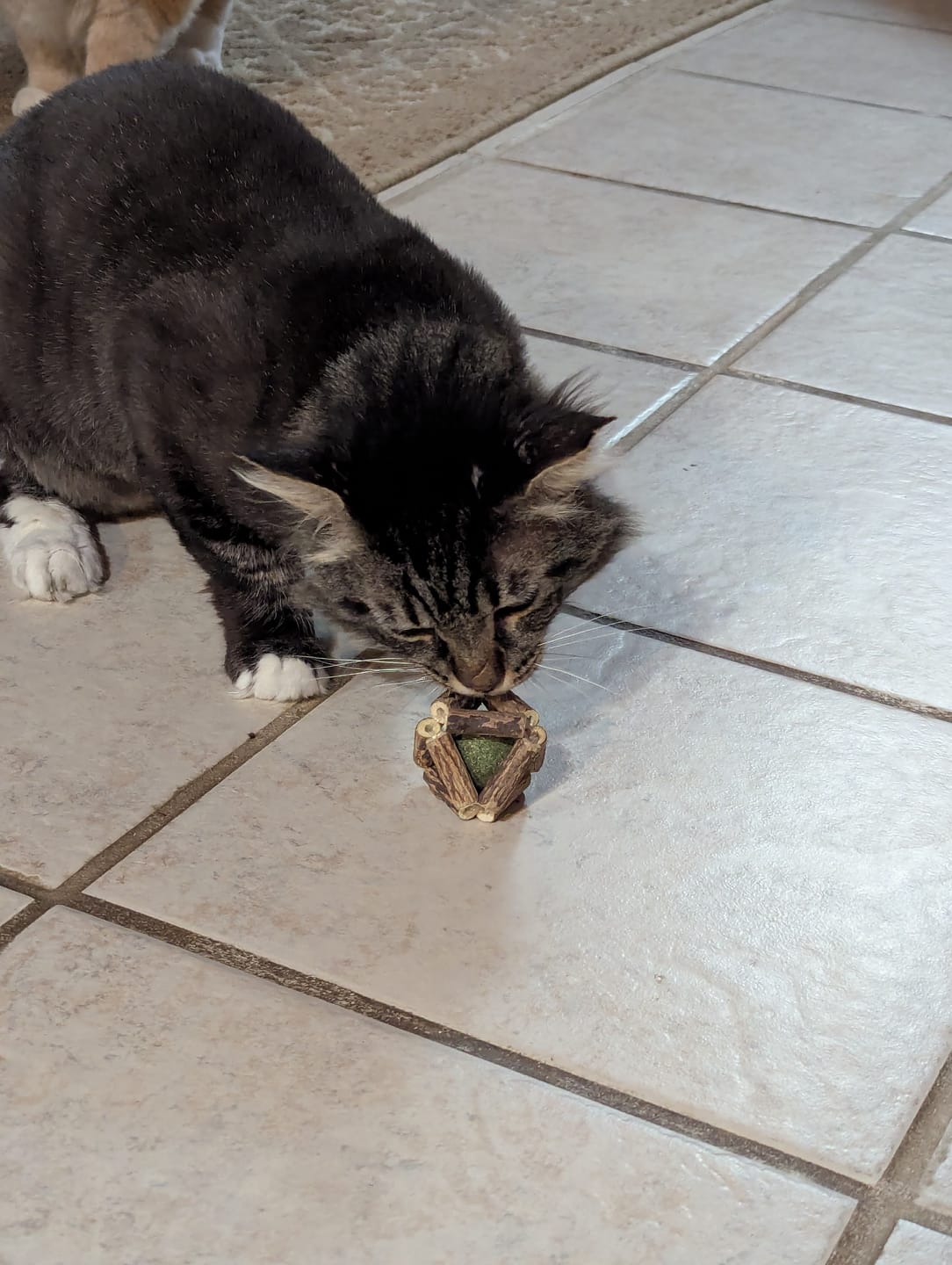 Customer photo review of Premium Silvervine and Catnip Rattle Balls (3 ct)