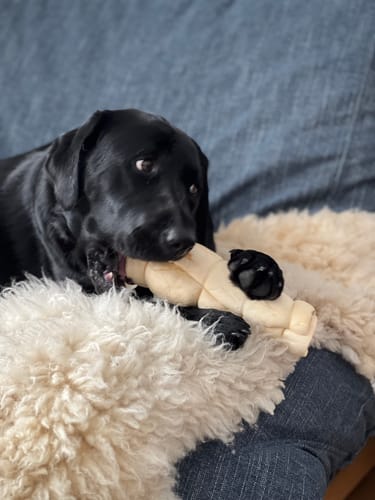Customer photo review of Beef Cheek Rolls