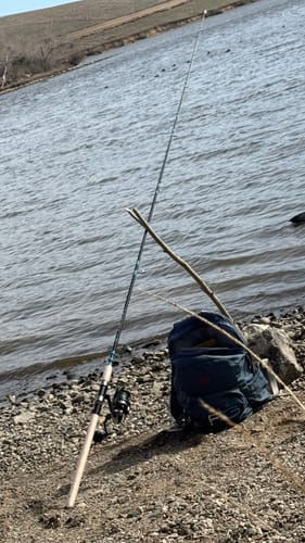 Customer photo review of 8Ft No Excuses Travel Rod with Tube Medium-Heavy Action 1/2oz to 2oz