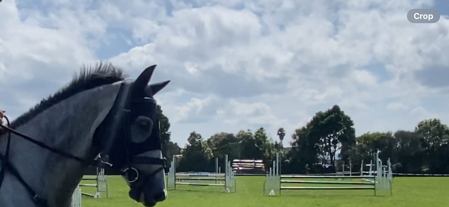 Customer photo review of Zilco Come Best Titanium Hoods with Ears