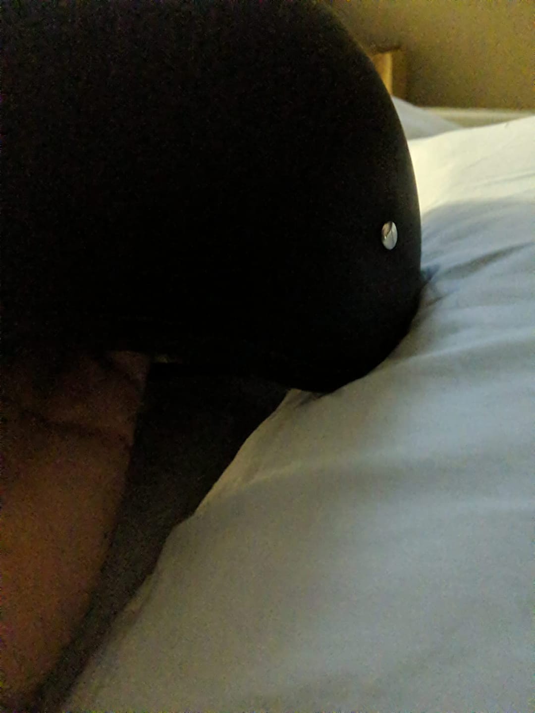 Customer photo review of DOT Approved Daytona Skull Cap Half Shell Motorcycle Helmet - Beanie Style for Motorcycles, Cruisers, Scooters, and Mopeds W/O Visor- Dull Black