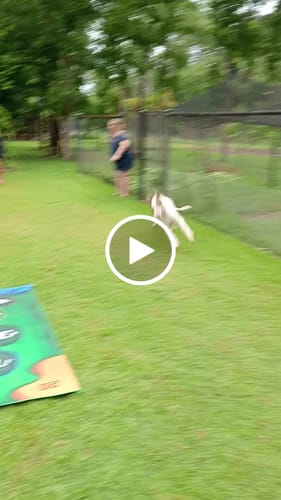 Customer video review of StickyGolf Pro® (Ultimate Edition)