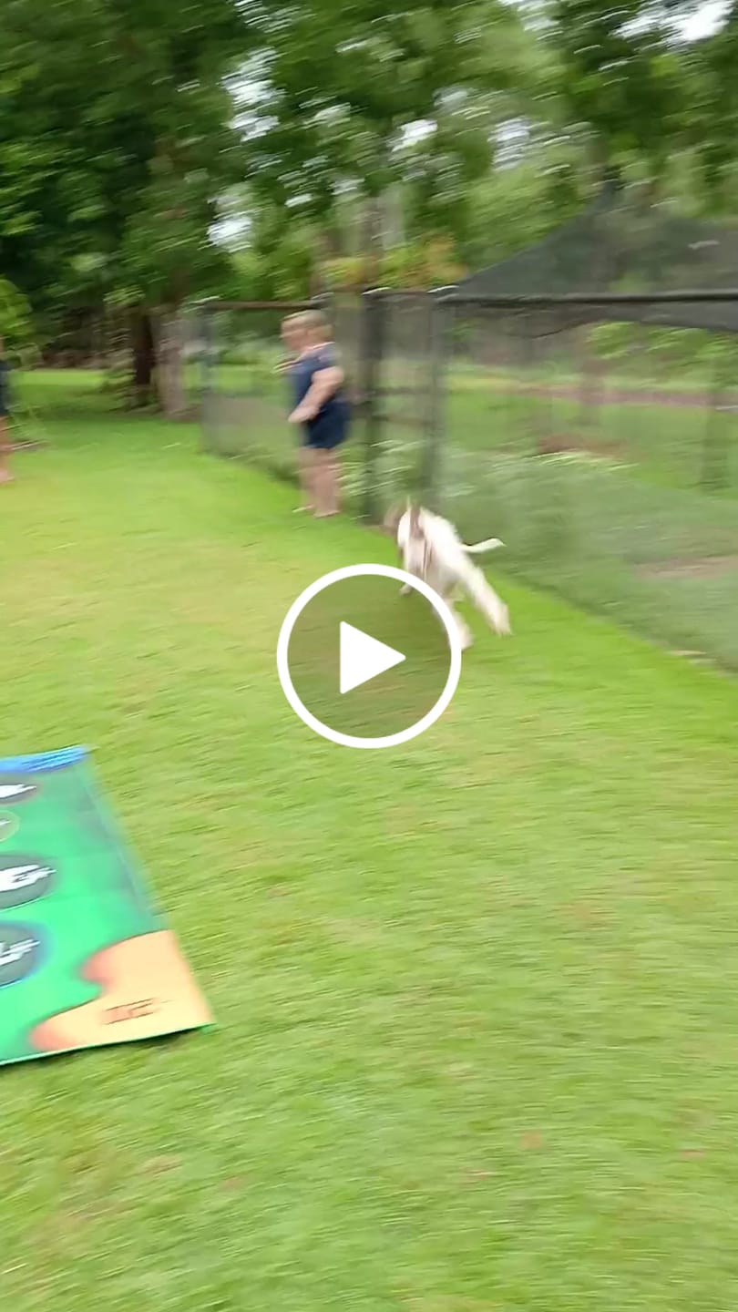 Customer video review of StickyGolf Pro® (Ultimate Edition)