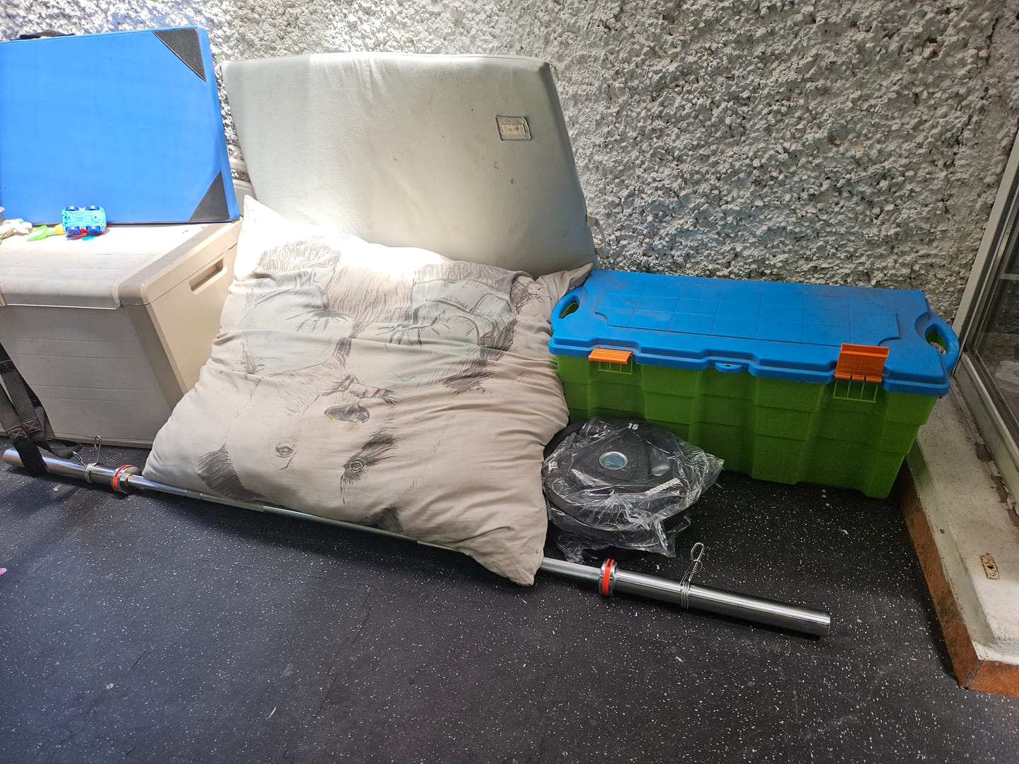 Customer photo review of Discos de 3 Agarres IRONSIDE (2.5 a 20 kg)