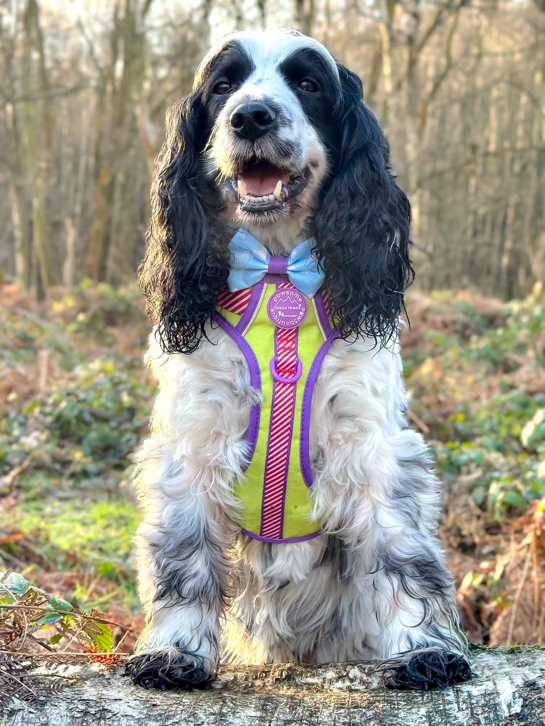 Customer photo review of Disney© Tough Trails™ Harness - Buzz Lightyear