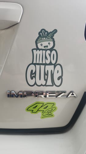 Customer photo review of Limited Edition LH FER Edition Racing Paracord Buddy Keychain