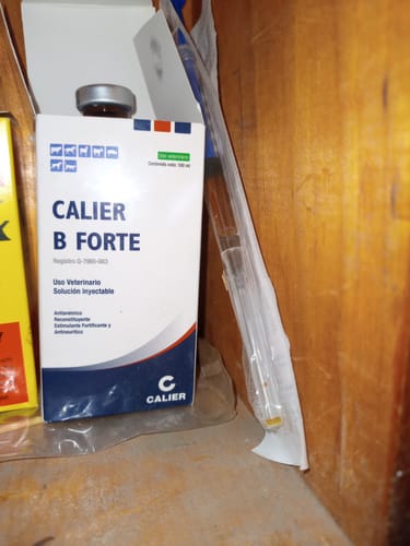 Customer photo review of Calier B Forte