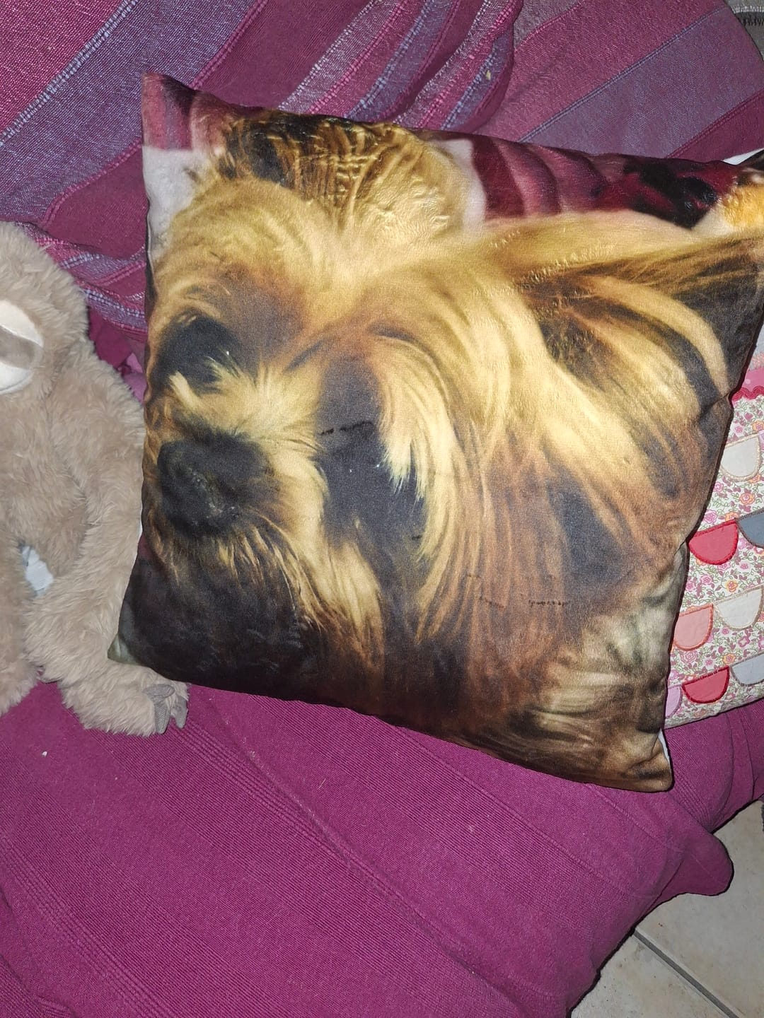 Customer photo review of Avec photo - Coussin personnalisé