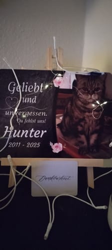 Customer photo review of Katzen Gedenktafel mit Foto & Spruch (UV- & Wetterfest)