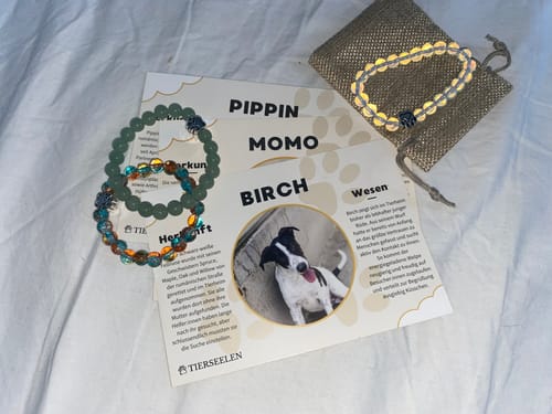 Customer photo review of Pfotenarmband - Opal