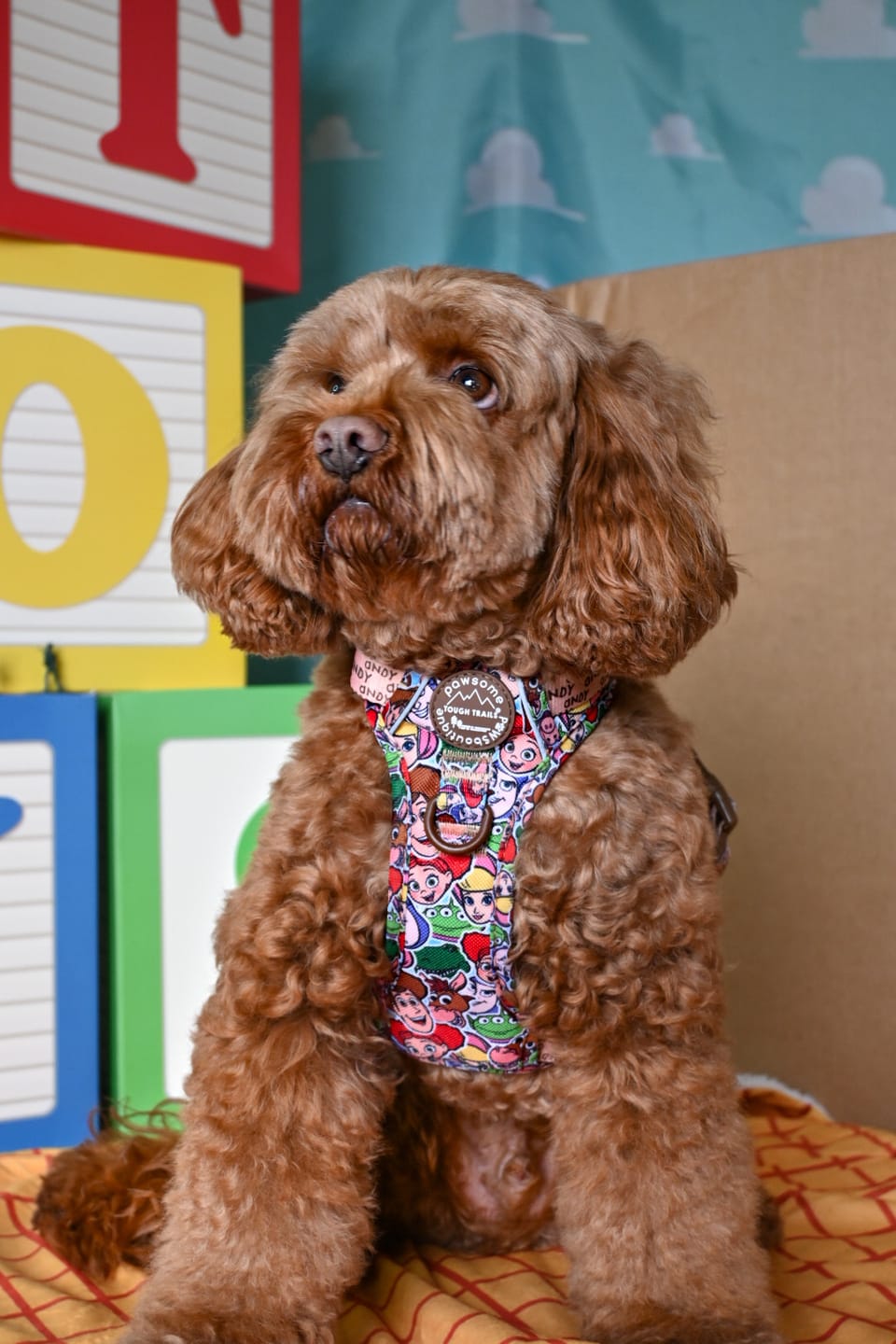 Customer photo review of Disney© Tough Trails™ Harness - Toy Story Friends