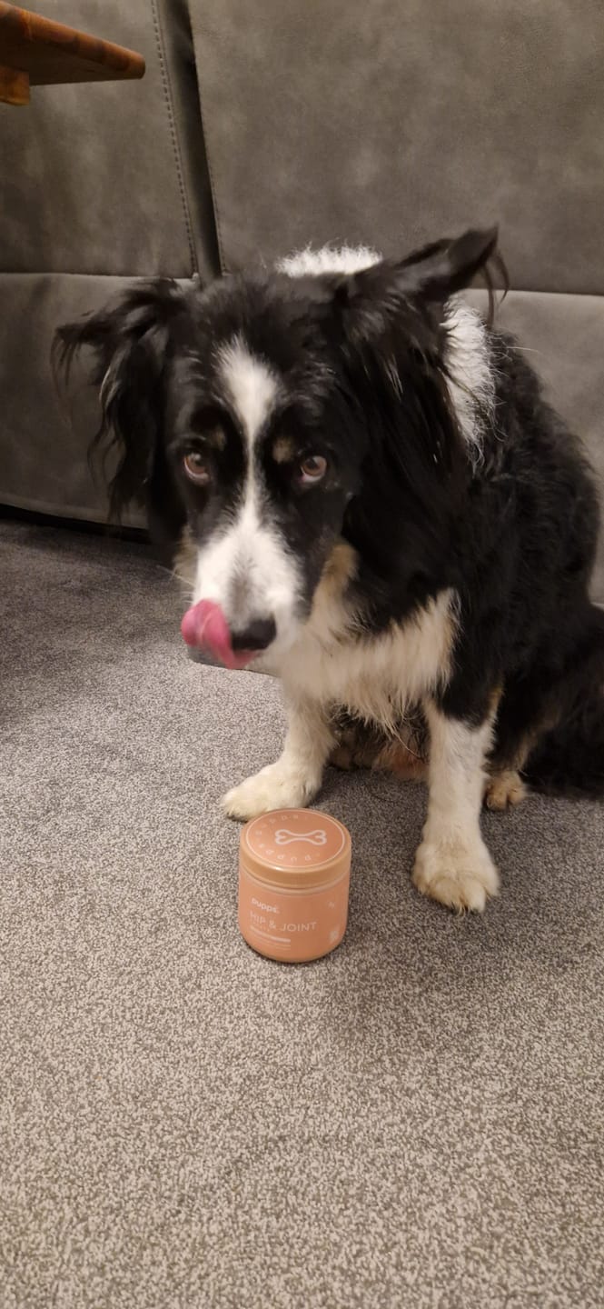 Customer photo review of Hip & Joint Treats