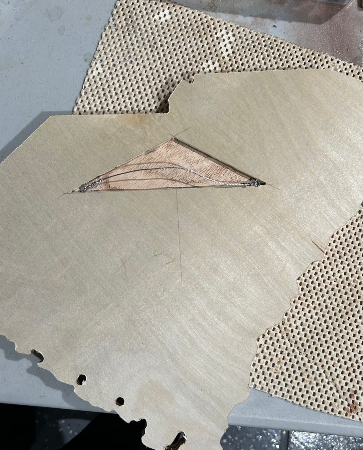 Customer photo review of Unfinished Wood South Carolina Shape - State - Craft - up to 46" DIY