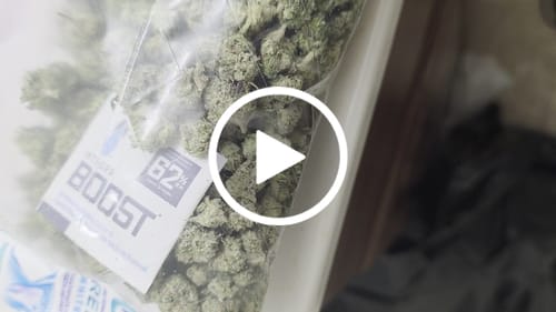 Customer video review of Exotic Smalls