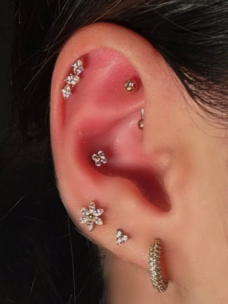 Customer photo review of Diamond Leaves Piercing | Titan