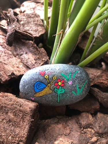 Customer photo review of Starterspakket Happy Stones + App om ze te volgen | Alles-in-1 | Stenen schilderen