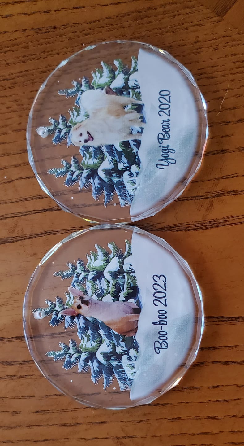 Customer photo review of Personalized Photo Dog Glass Ornament For Christmas