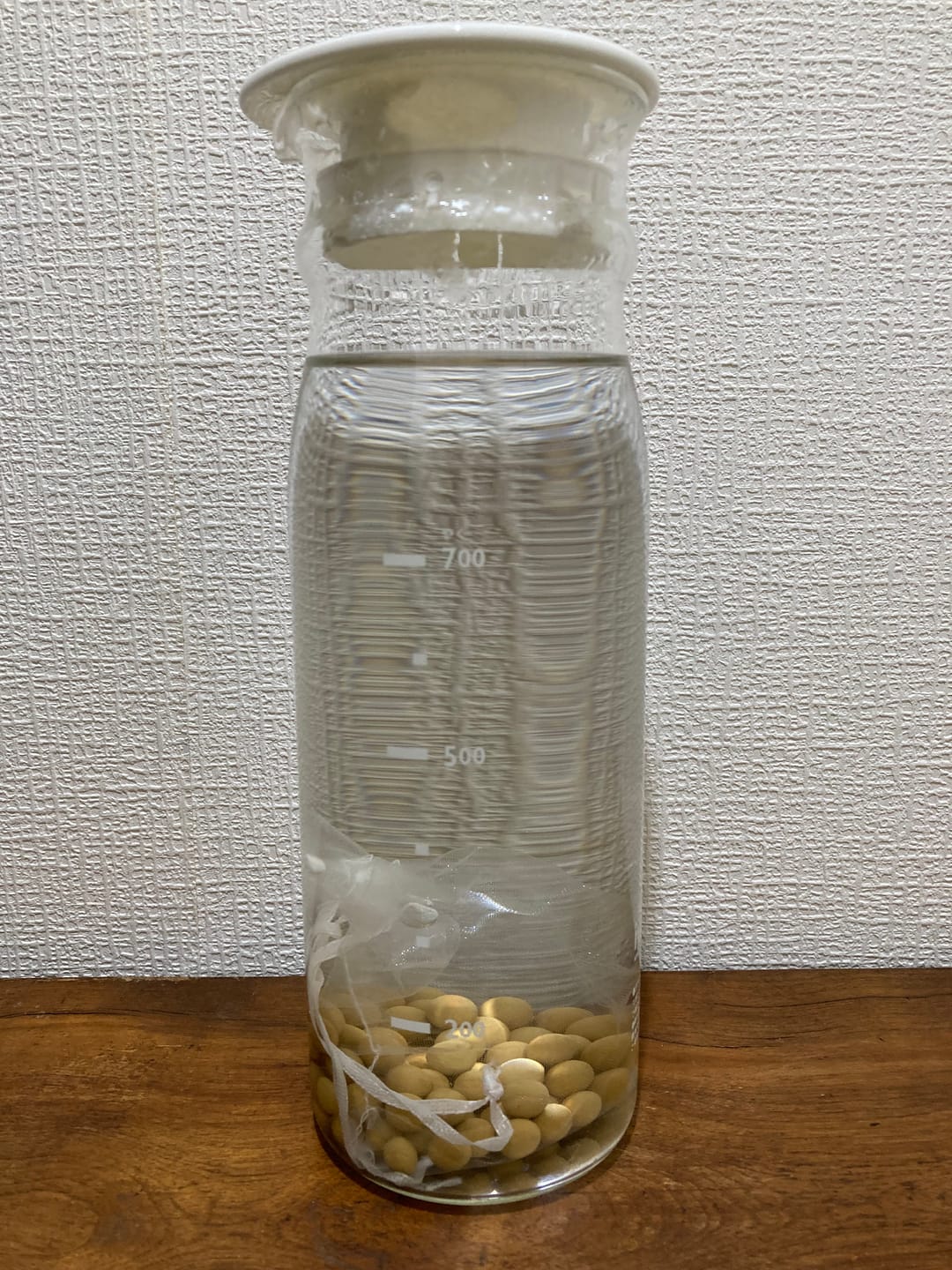 Customer photo review of New!  SLEEP HEXAGON　ラドンボール(100g)