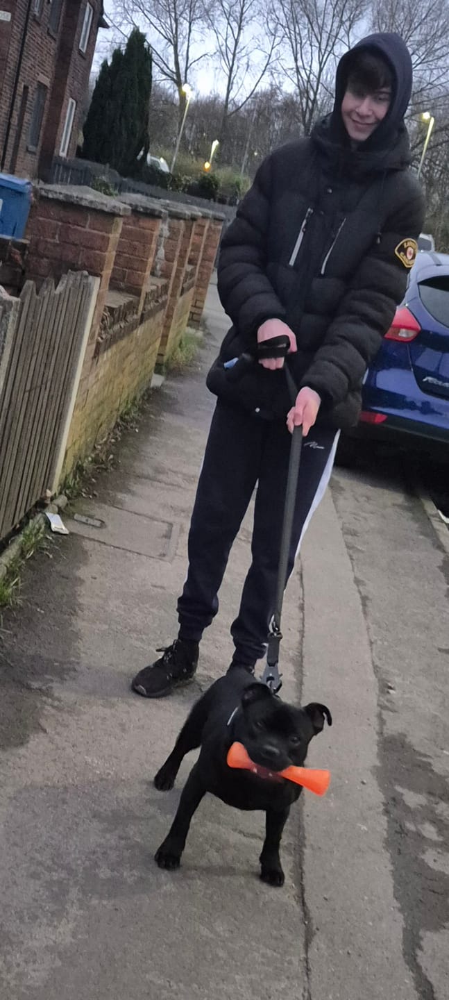 Customer photo review of 4cm LIGHTER Combat® Collar | Handle Rated Clip - Black x Black