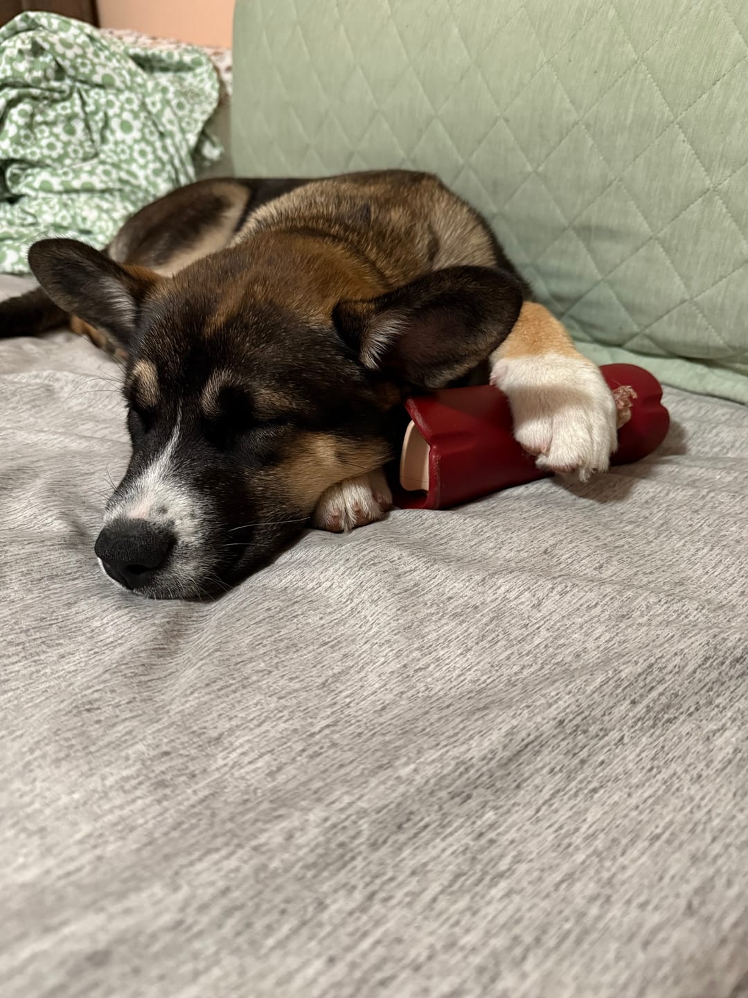 Customer photo review of Small Bully Stick Ring