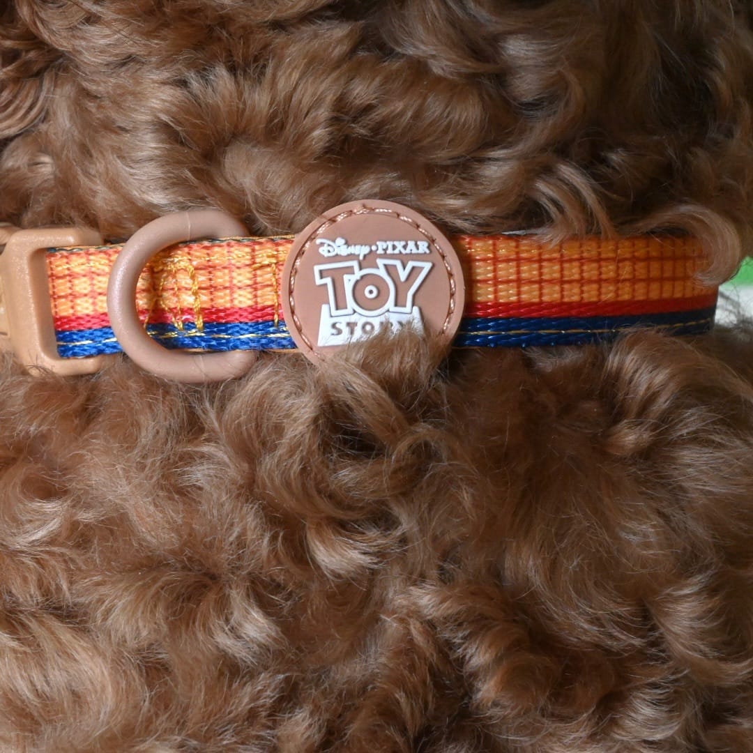 Customer photo review of Disney© Collar - Woody
