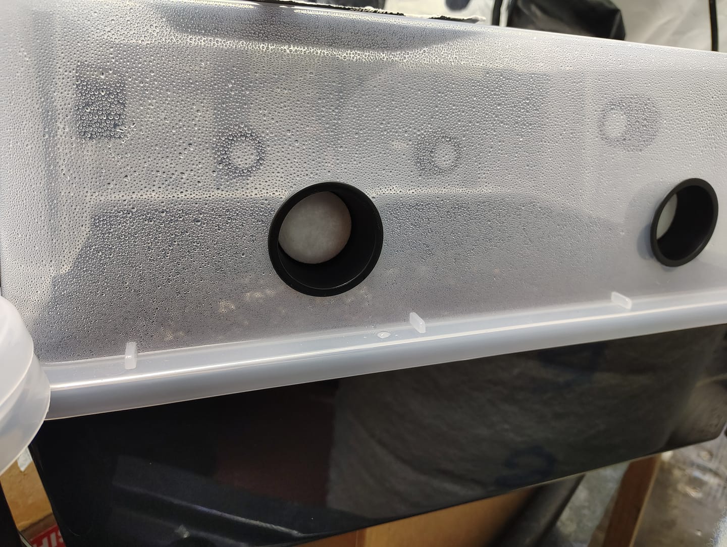 Customer photo review of Adherable Monotub Filters 1.5"