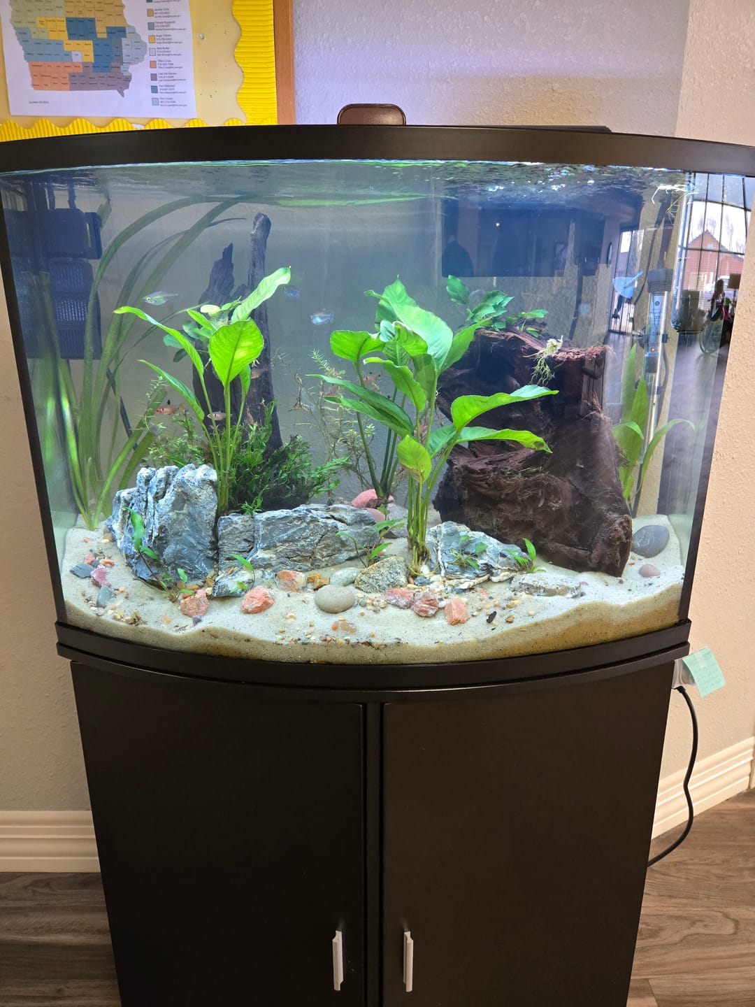 Customer photo review of Shark PRO NANO