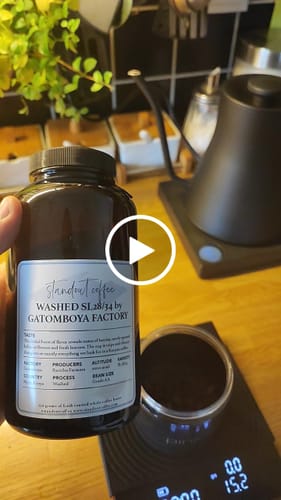 Customer video review of Kenya Gatomboya AA Washed SL28/34