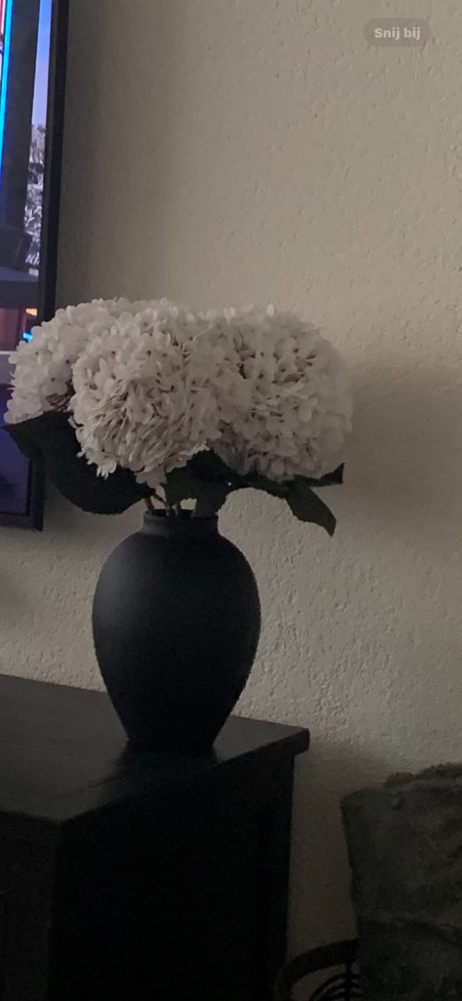 Customer photo review of Grote Zijden Hortensia - Wit