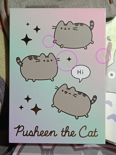 Customer photo review of Mooving at Work - Block de Notas Pusheen 17 x 12 cm 120 h