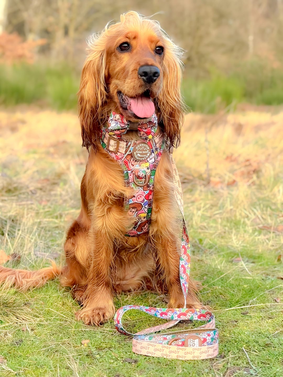 Customer photo review of Disney© Tough Trails™ Harness - Toy Story Friends