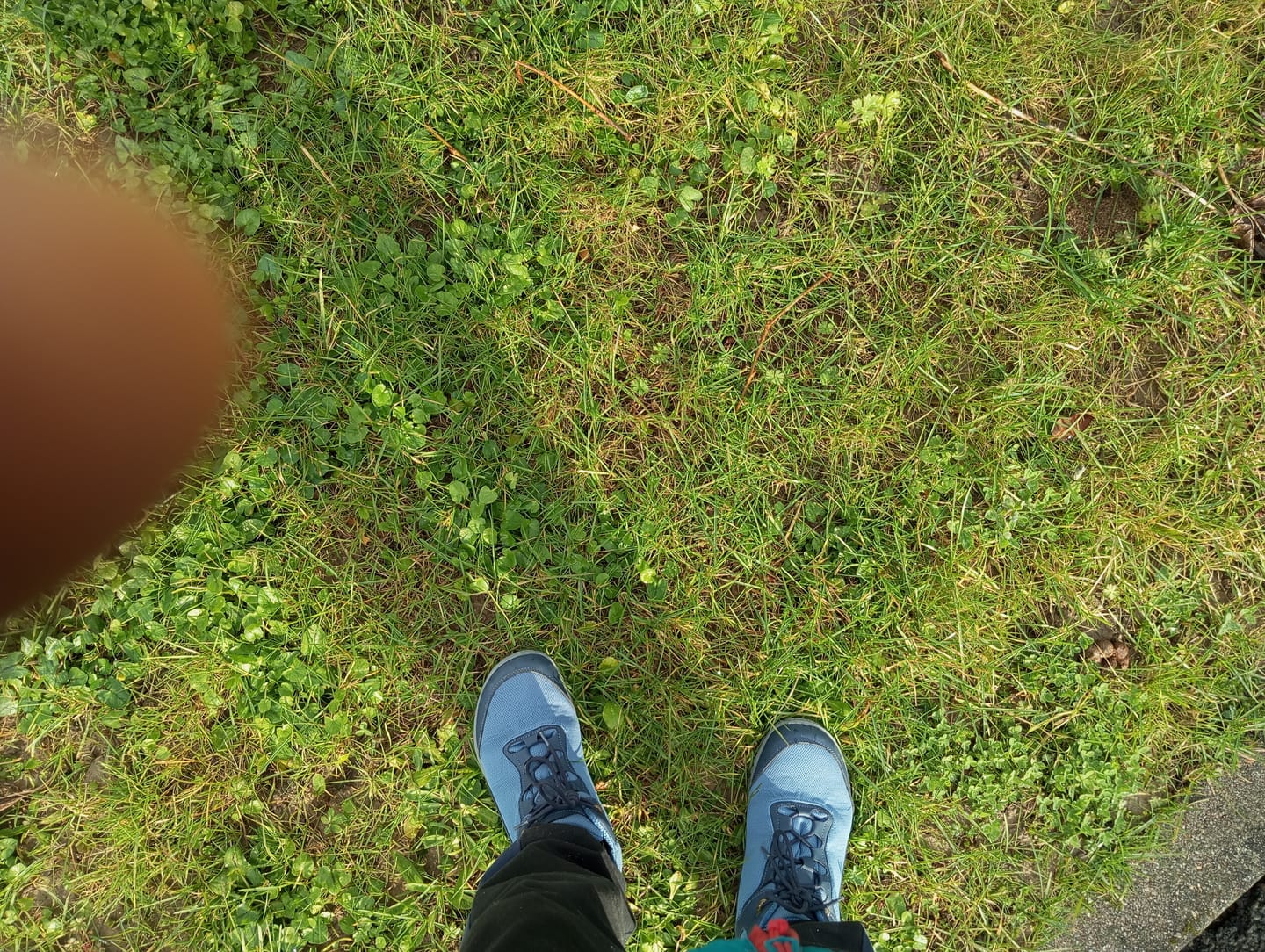 Customer photo review of Brave Ⅰ - Barefoot Chaussures