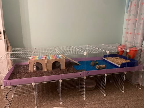 Customer photo review of 6x2 C&C Cage with Stand