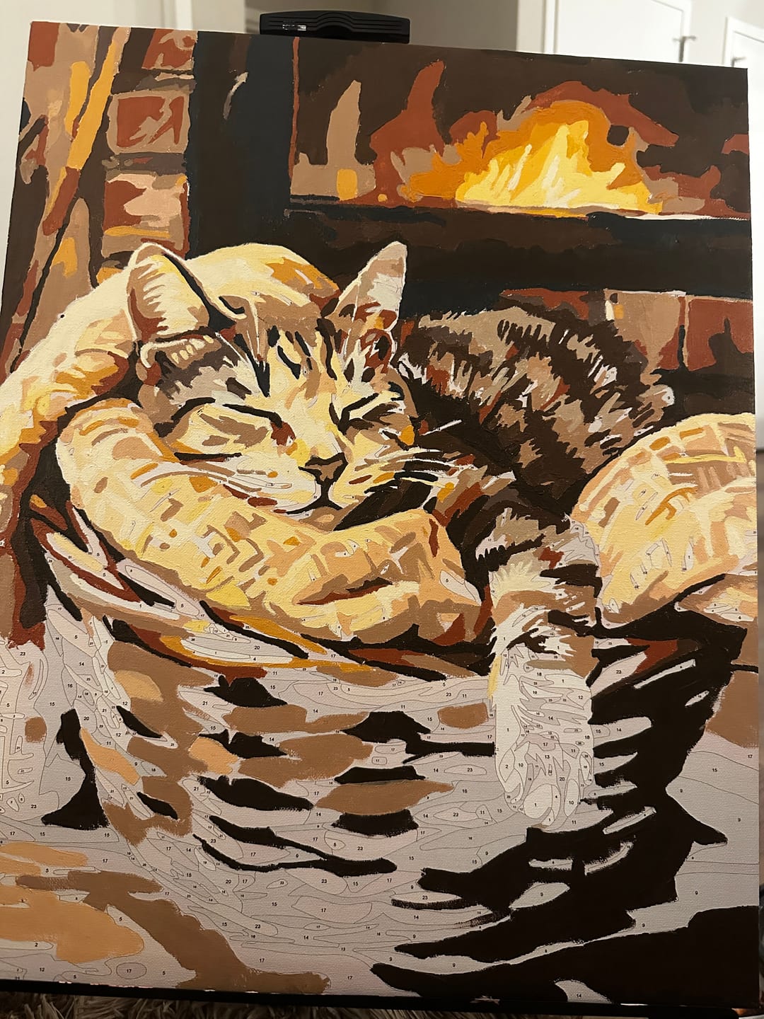 Customer photo review of Bascat