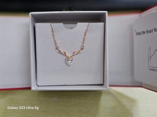 Customer photo review of Warranty Order