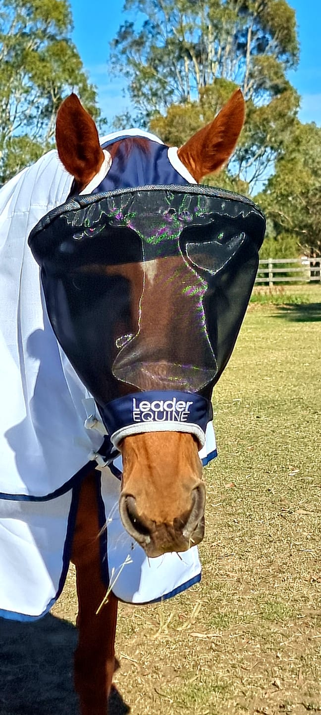 Customer photo review of LE Outback Flymask Original