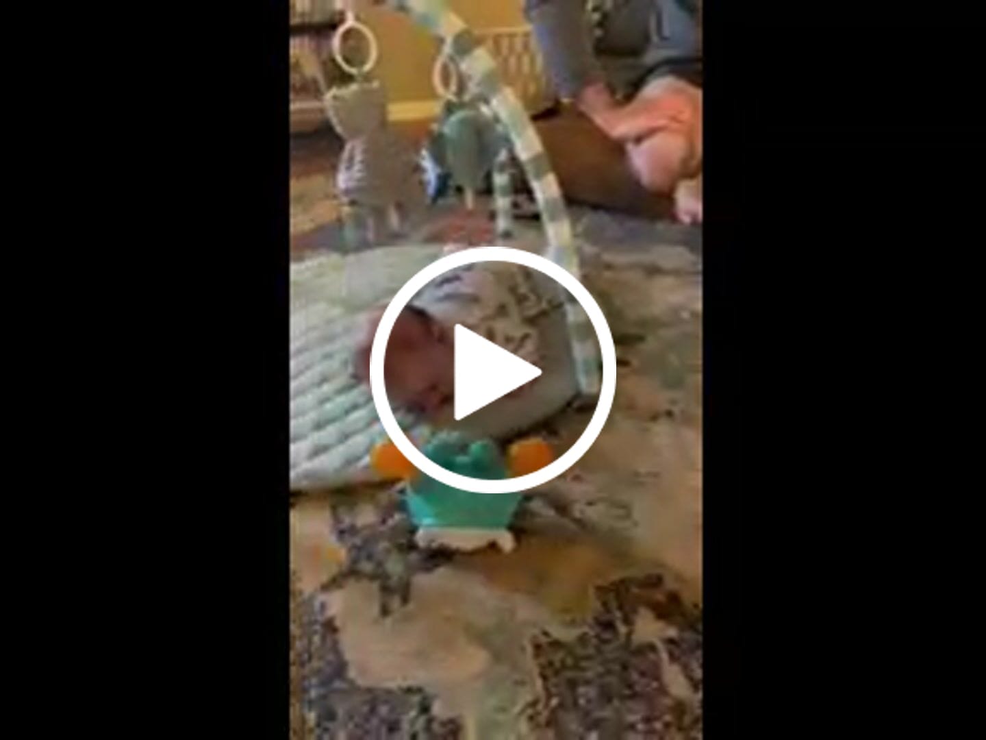 Customer video review of The Crawly Crab™