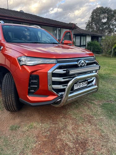 Customer photo review of Nudge Bar For LDV T60 2017-2024