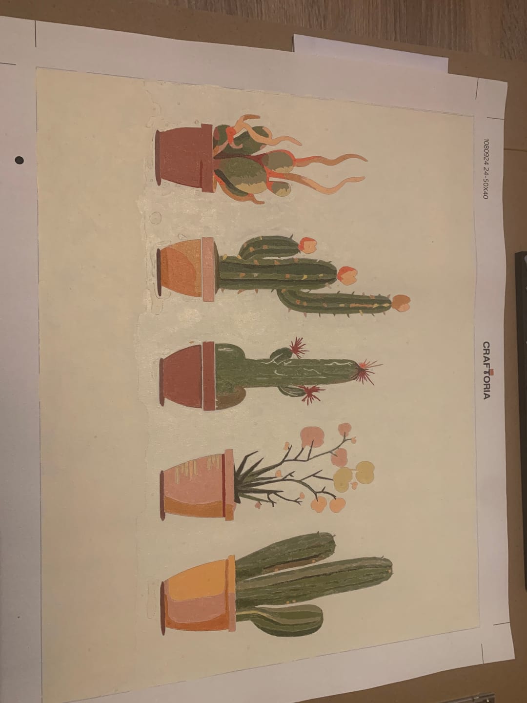 Customer photo review of Minimalist Cactus