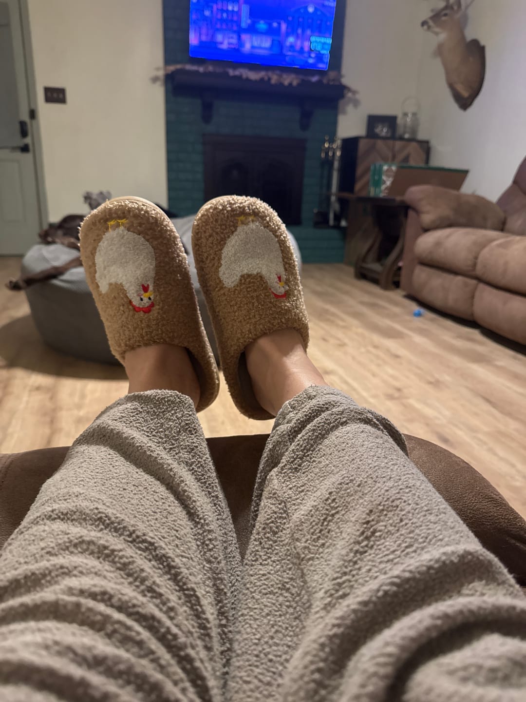 Customer photo review of Brown Fuzzy Chicken Slippers - Adult