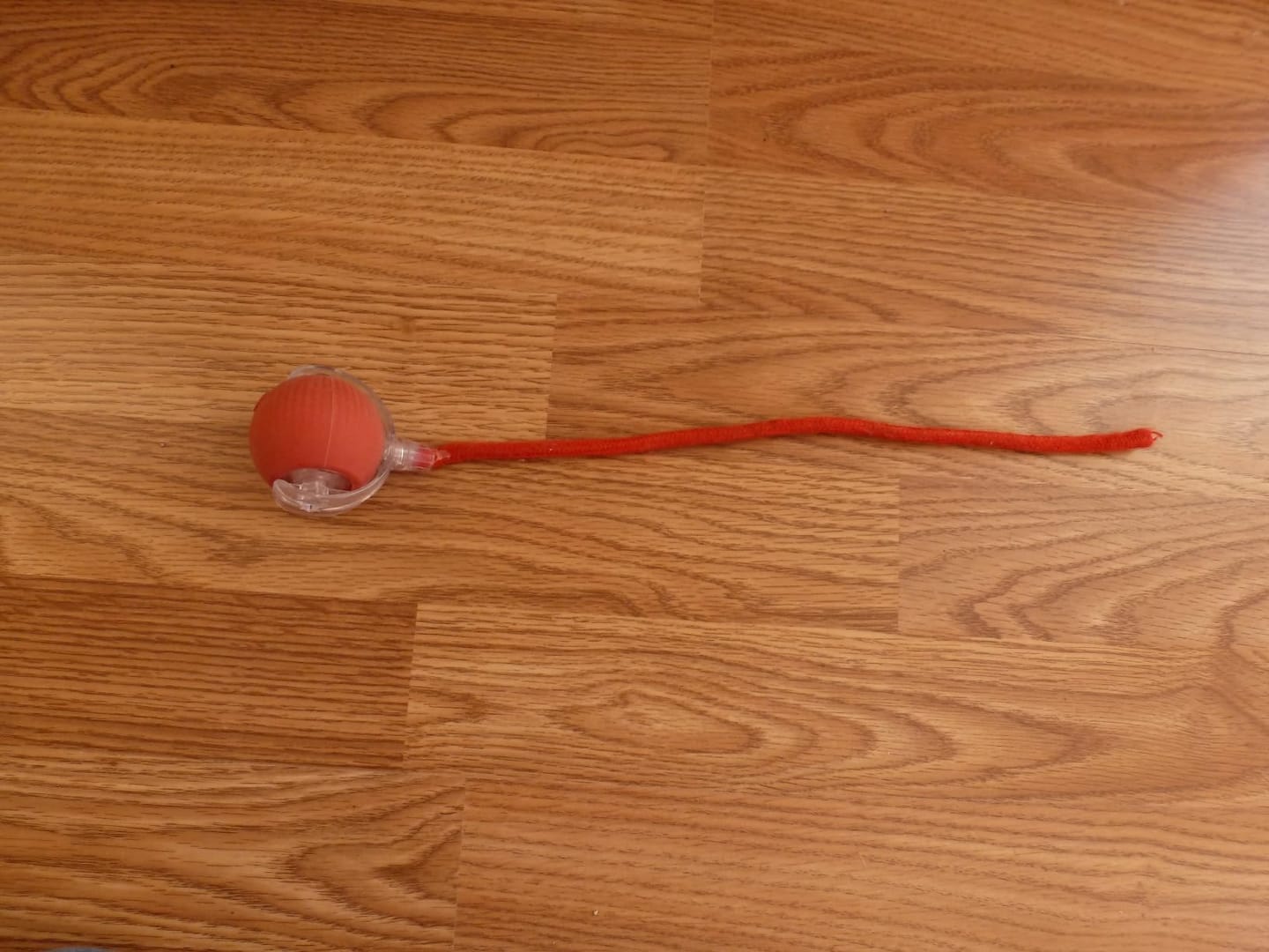Customer photo review of PetZing™ - Smart kjæledyrleke