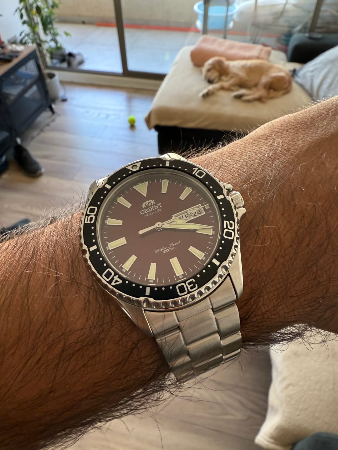 Customer photo review of Reloj Orient Automatic RA-AA0003R19B Kamasu Diver Sapphire 41,8 mm