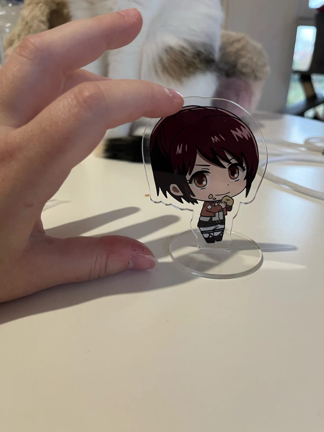 Customer photo review of Figurine Attaque des Titans - Acrylique Stand