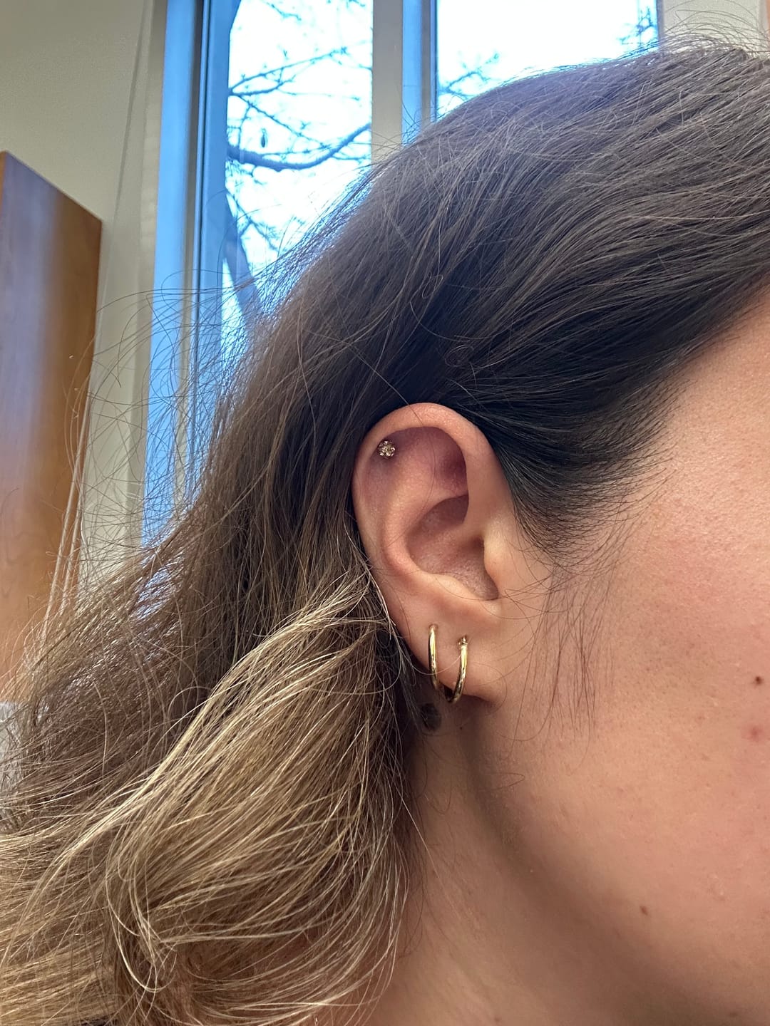Customer photo review of 18G Crystal Stud Earring Ball Ear Stud Jewelry