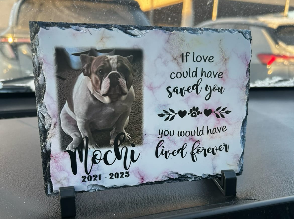 Customer photo review of Personalized Dog Memorial Plaque If Love Could Have Saved You Personalized Picture Keepsake
