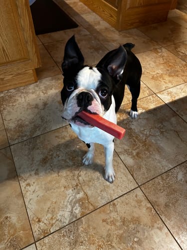 Customer photo review of Turmeric Yak Chews