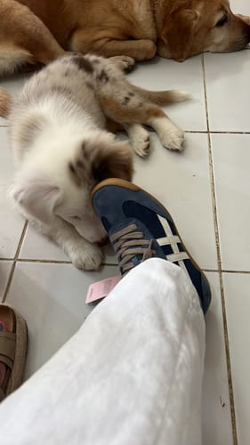 Customer photo review of Tenis Style Vera Azul